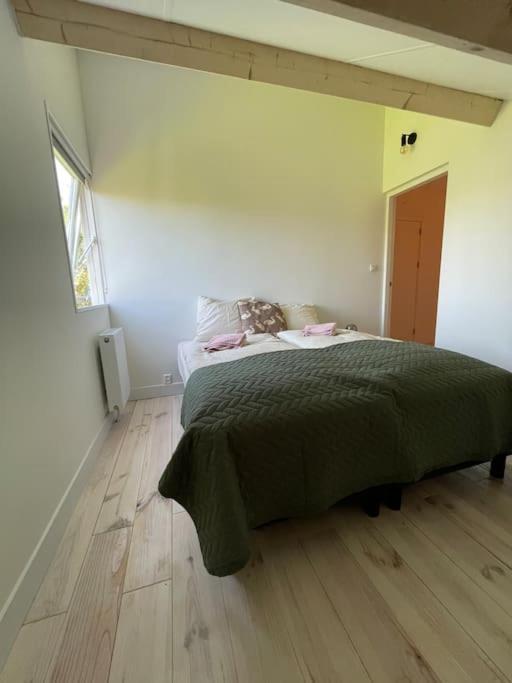 Modern Beach House For 12 Pers! With Jacuzzi ユリアーナドルプ エクステリア 写真